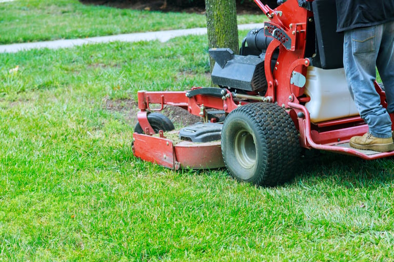 Professional lawn care maintenance