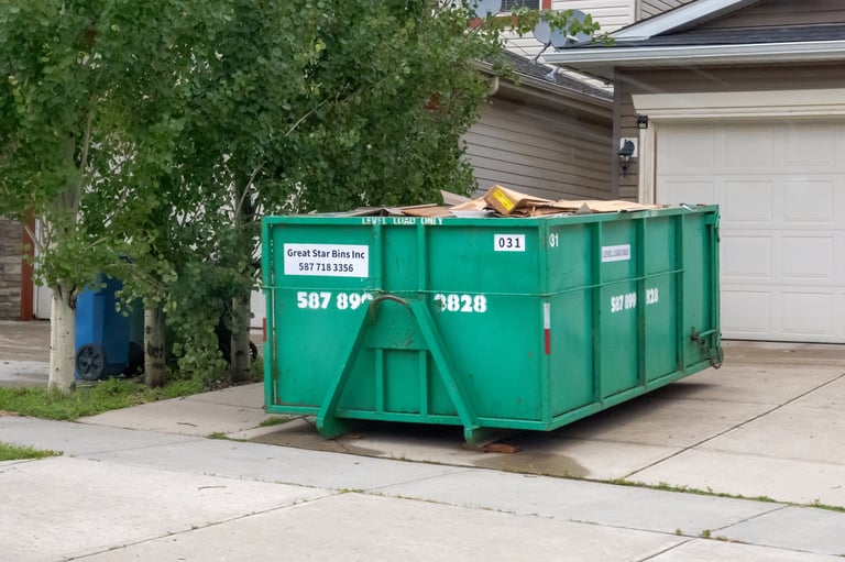 Roll-off dumpster container for waste removal